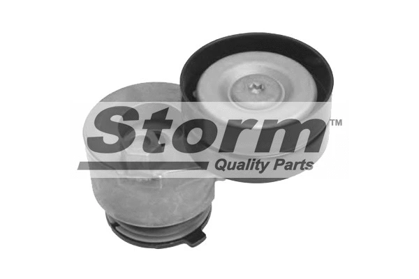 Belt Tensioner, V-ribbed belt (F10183)