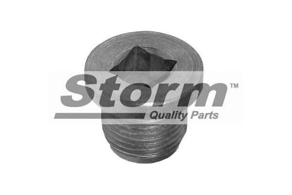 Screw Plug, oil sump (F0891)