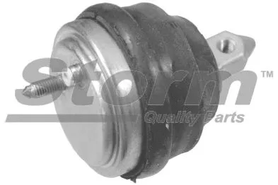 Mounting, engine (F11663)