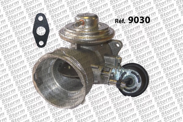 EGR Valve (9030)