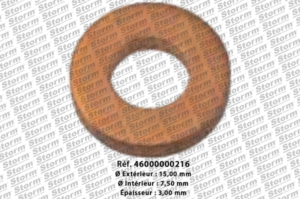 Seal Ring, injector (46000000216)