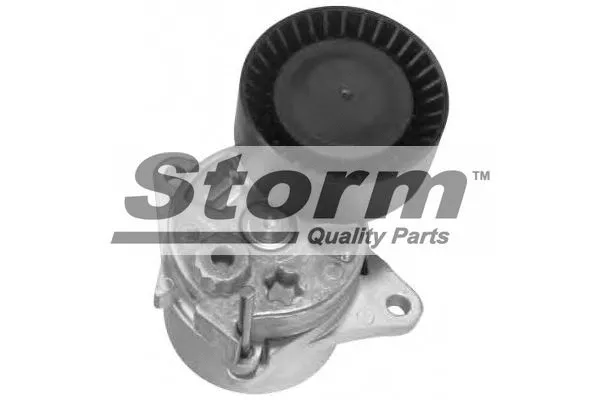 Belt Tensioner, V-ribbed belt (F4452)