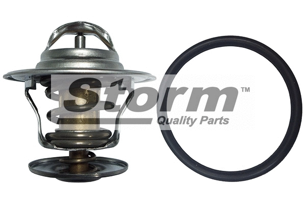 Thermostat, coolant (199041)
