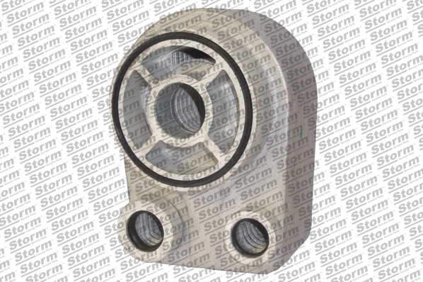 Oil Cooler, engine oil (F10611)