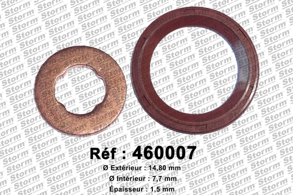 Seal Kit, injector nozzle (460007)