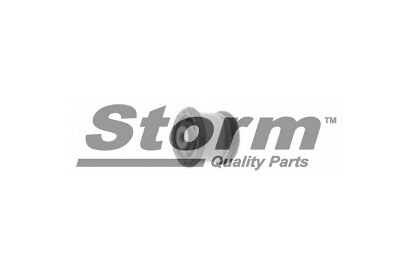 Bushing, axle beam (F2289)