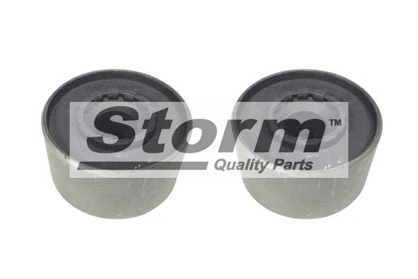 Mounting, control/trailing arm (F2204)