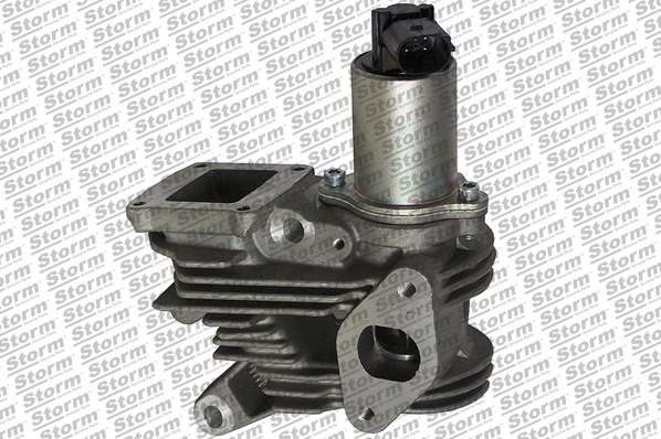 EGR Valve (9017)