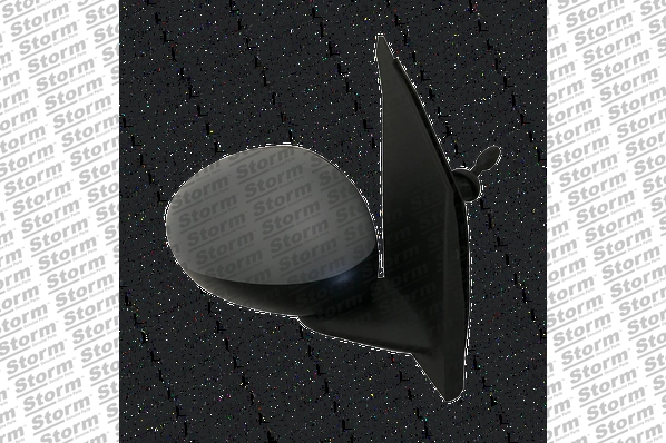 Exterior Mirror (2099002)