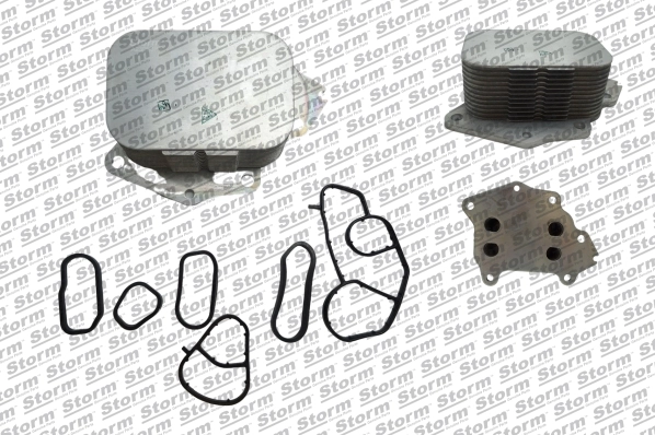 Oil Cooler, engine oil (F10602)