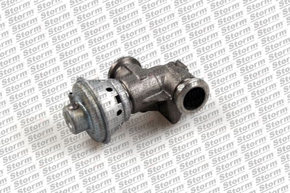 EGR Valve (9082)