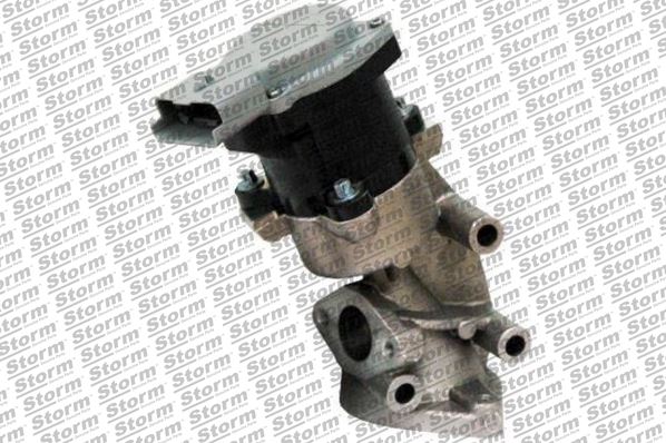 EGR Valve (9103)