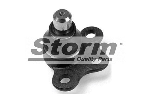 Ball Joint (21287)