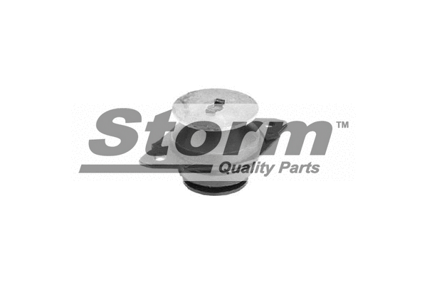 Mounting, engine (F2764)