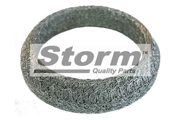 Gasket, exhaust pipe (F2553)