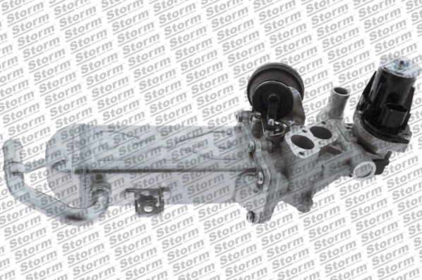 EGR Valve (9036)