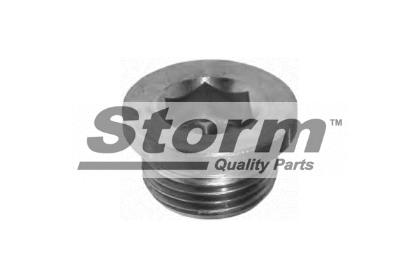 Screw Plug, oil sump (F0892)