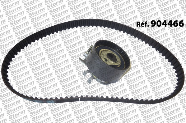 Timing Belt Kit (904466)