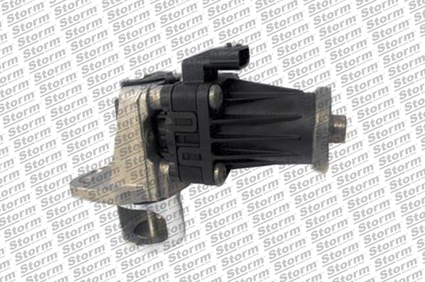 EGR Valve (9098)