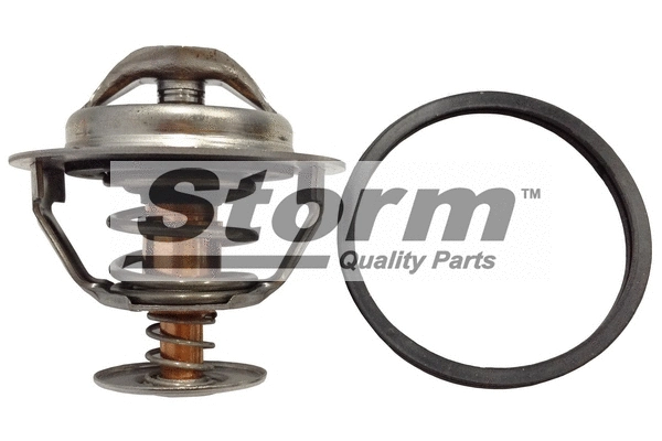 Thermostat, coolant (199025)