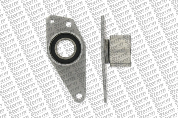 Deflection/Guide Pulley, timing belt (F4669)