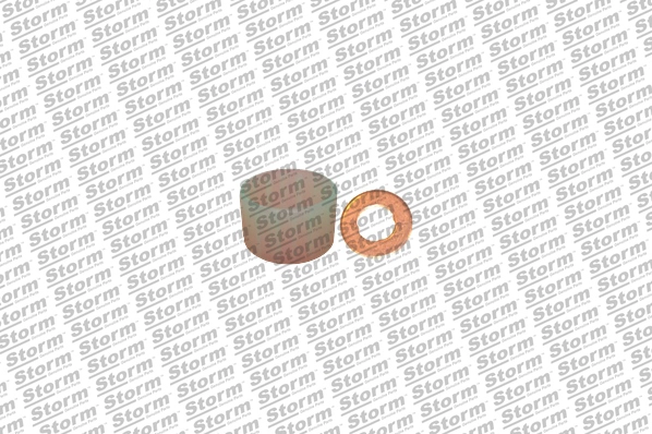 Seal Kit, injector nozzle (460006)