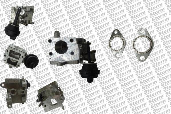EGR Valve (9096)