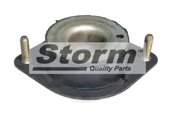 Mounting, engine (F1201)