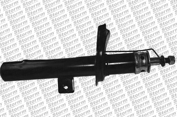 Shock Absorber (810705)