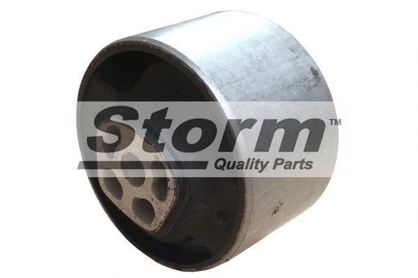 Holder, engine mounting system (F4769)