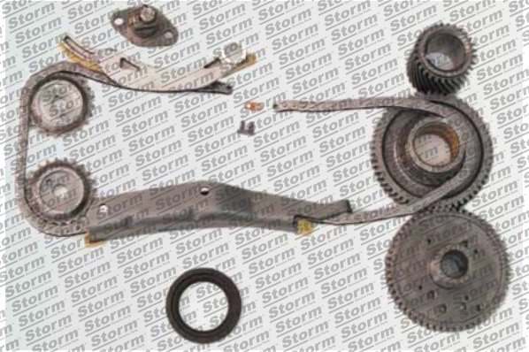 Timing Chain Kit (KITC555013)