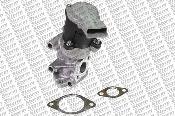 EGR Valve (9101)