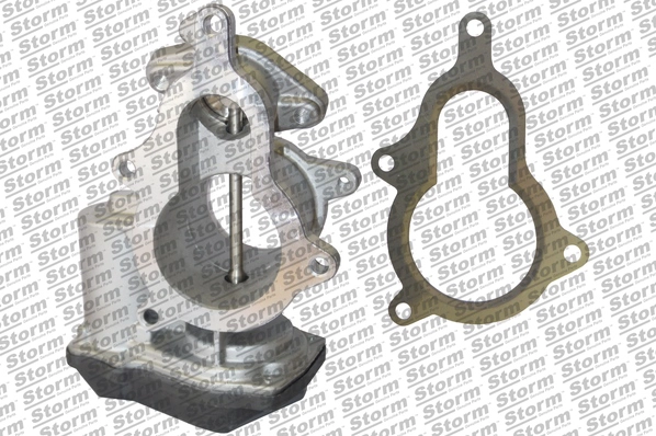 EGR Valve (9010)