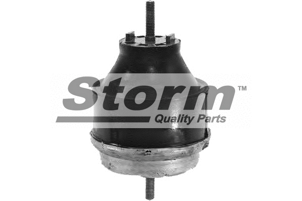 Mounting, engine (F2520)