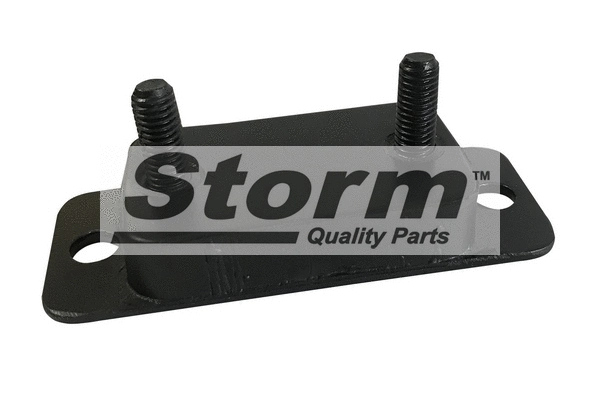 Mount, exhaust system (F2153)