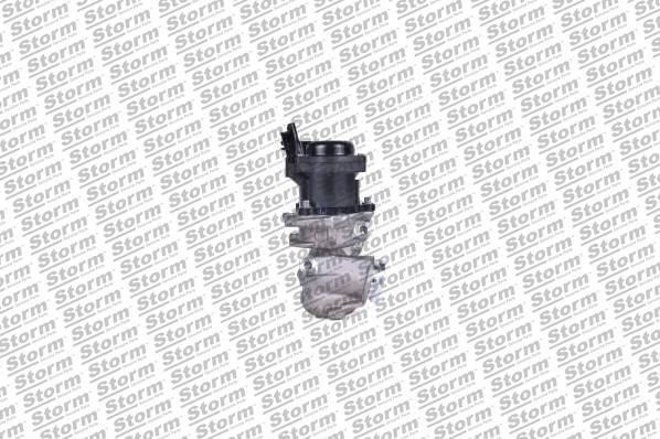 EGR Valve (9062)