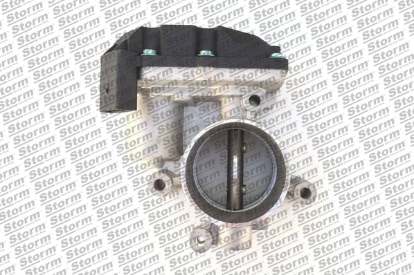 Throttle Body (972101)