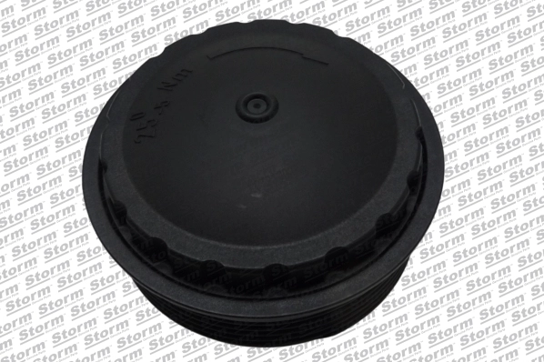 Cap, oil filter housing (F9927)