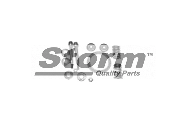 Mount, exhaust system (F2439)