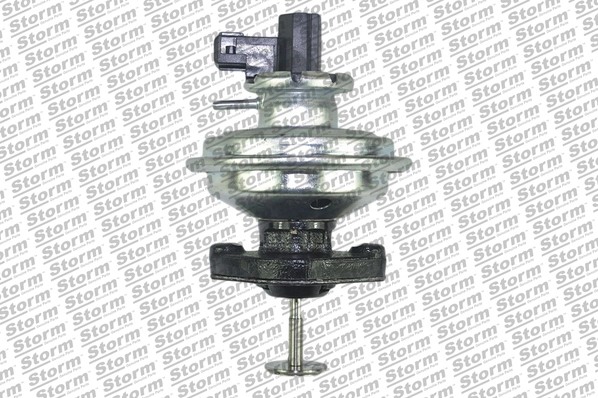 EGR Valve (9061)
