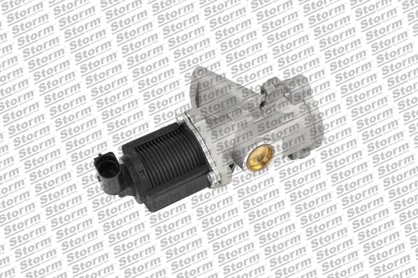 EGR Valve (9004)