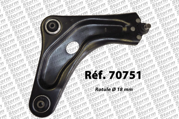 Control/Trailing Arm, wheel suspension (70751)