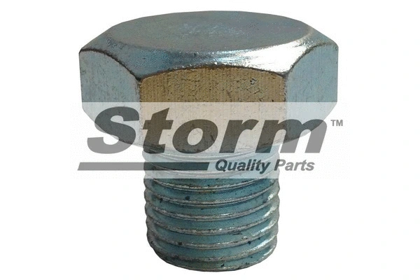 Screw Plug, oil sump (F1949)