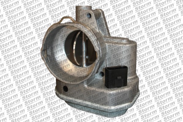 Throttle Body (972100)