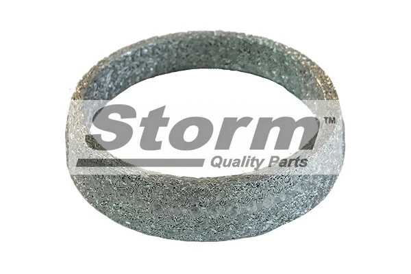 Gasket, exhaust pipe (F1607)