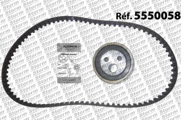 Timing Belt Kit (5550058)