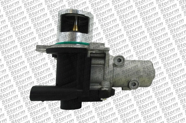 EGR Valve (9009)
