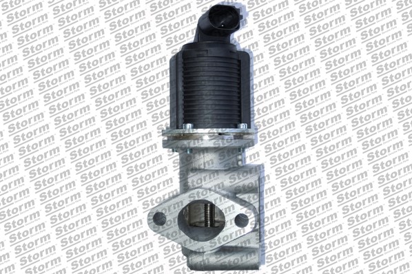 EGR Valve (9022)