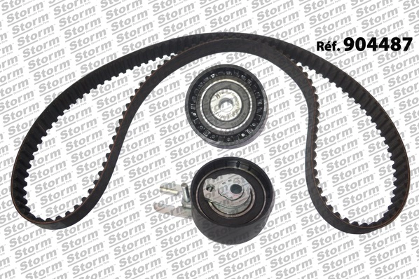 Timing Belt Kit (904487)