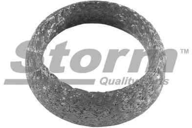 Seal Ring, exhaust pipe (F1679)